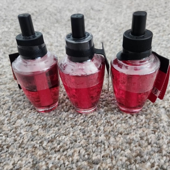 NWT 3-PIECE CINNAMON STICK & PUMPKIN APPLE WALLFLOWERS REFILLS - Picture 3 of 3